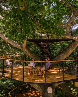 Platform of the Ceiba