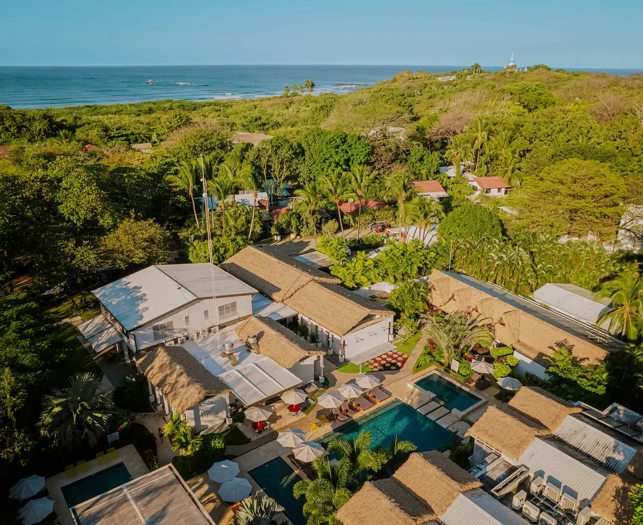 The Gilded Iguana Surf Hotel