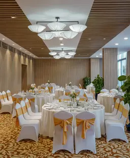 Sunlit VIP Room & Ballroom