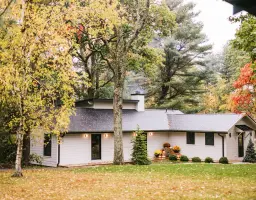 Treehouse Conference Room