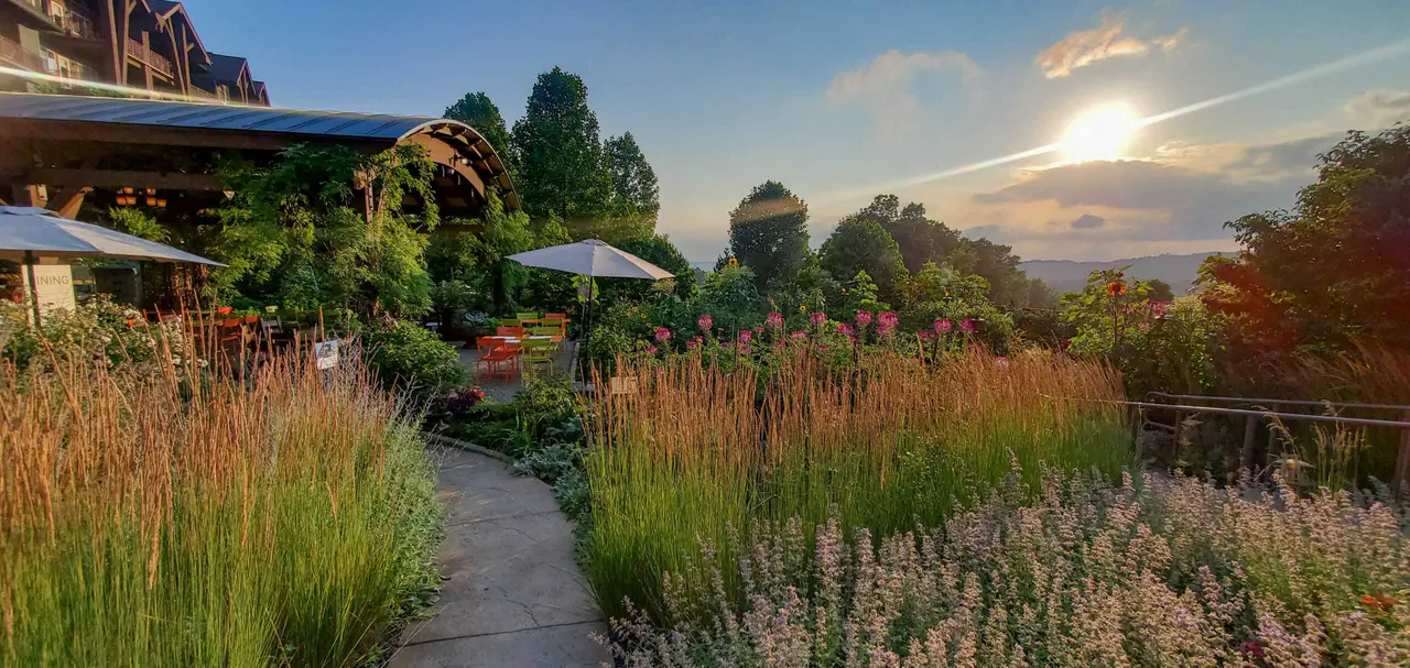 Crystal Springs Resort