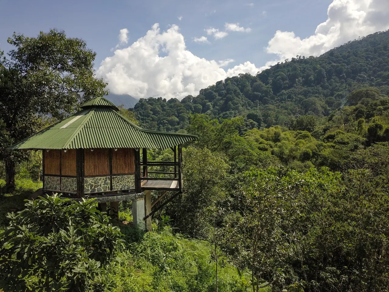 Finca La Frecuencia