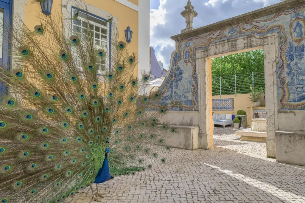 Venue cover photo