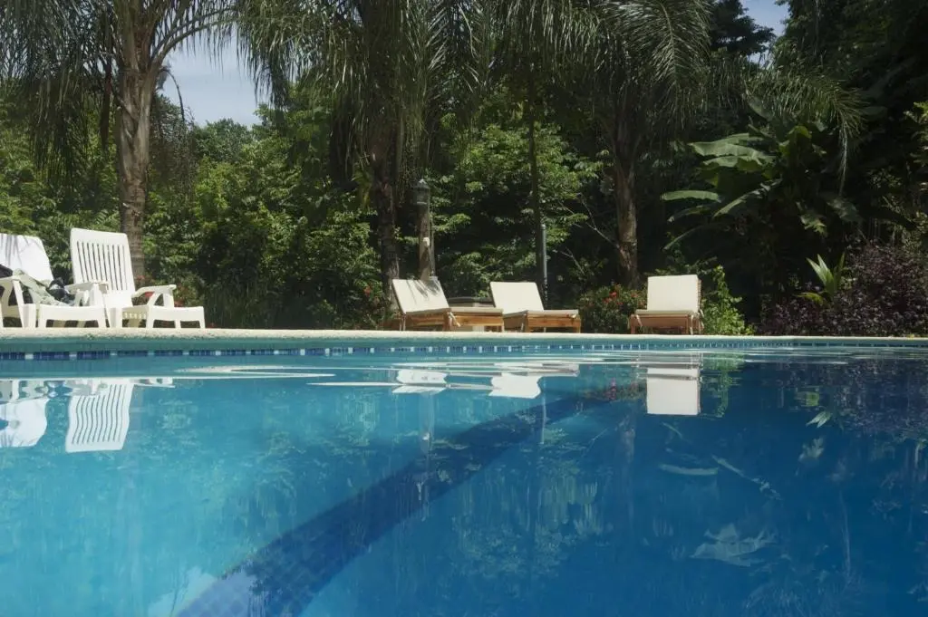 Funky Monkey Lodge