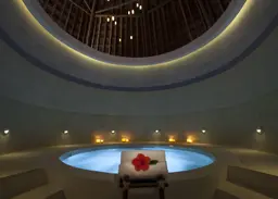 Revive Spa
