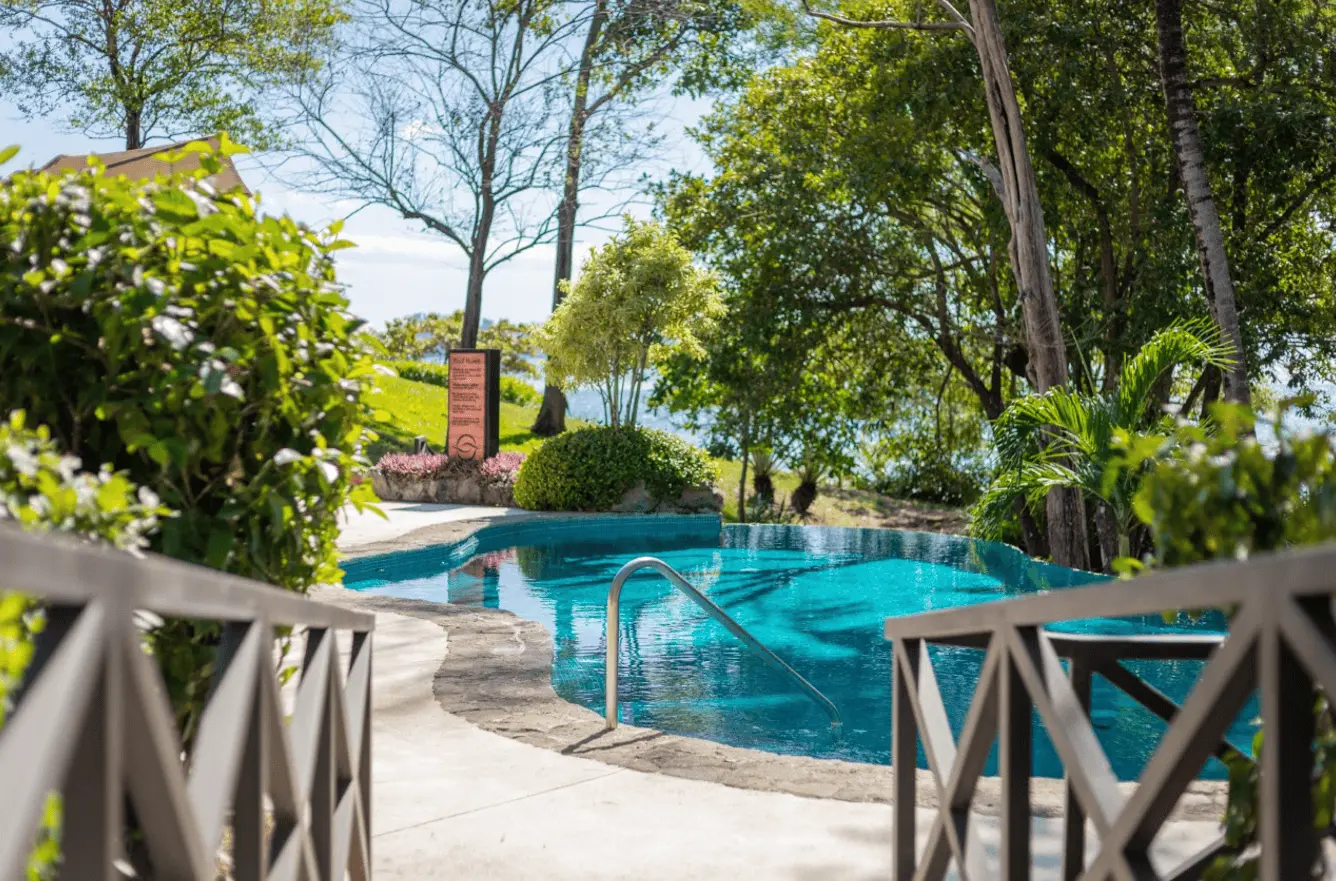 Saltwater Infinity Pool image 2