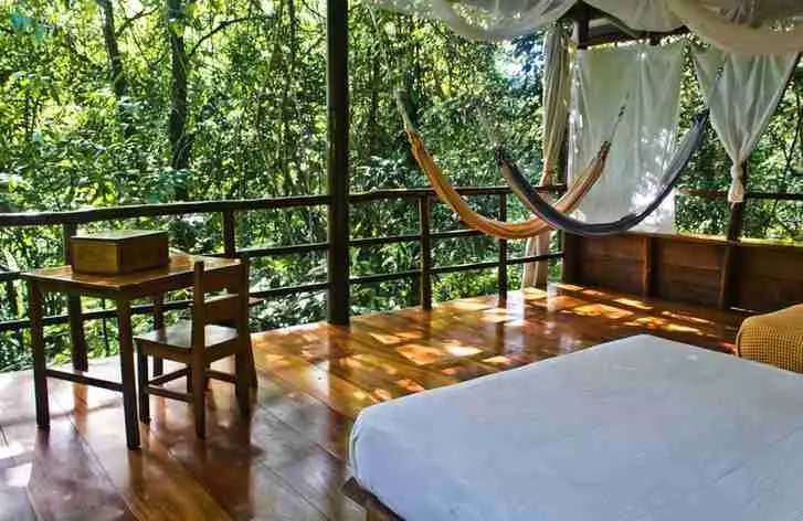La Loma Jungle Lodge and Chocolate Farm
