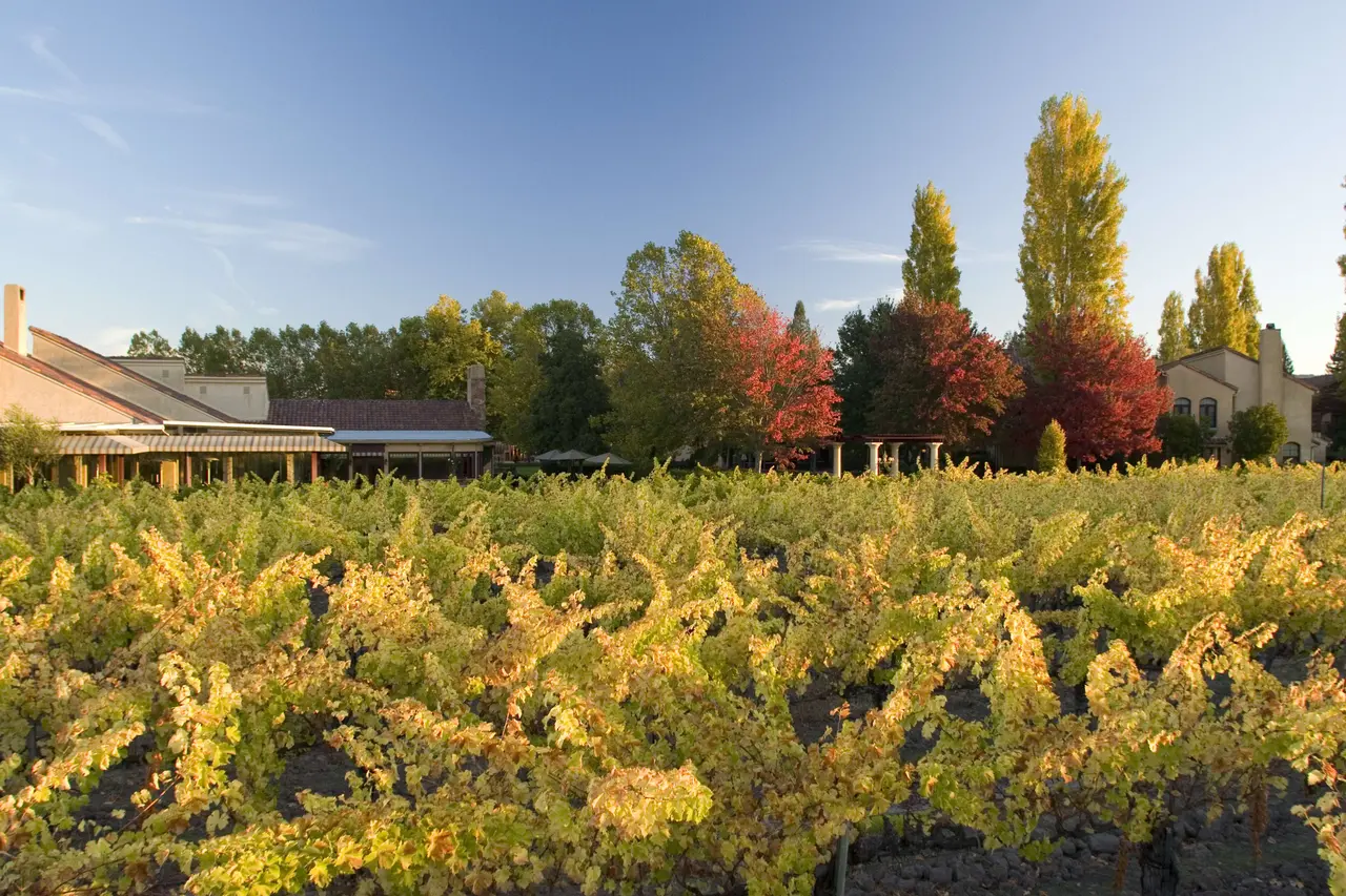 Vintners Resort