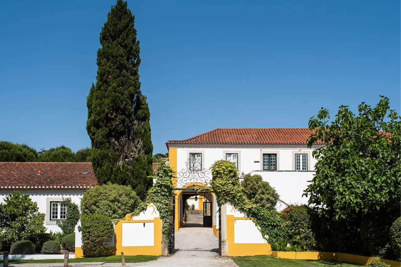 DOMA Portugal