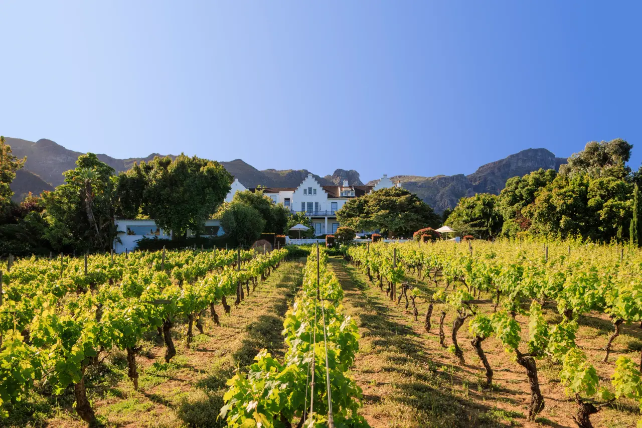 The Cellars Hohenort Hotel