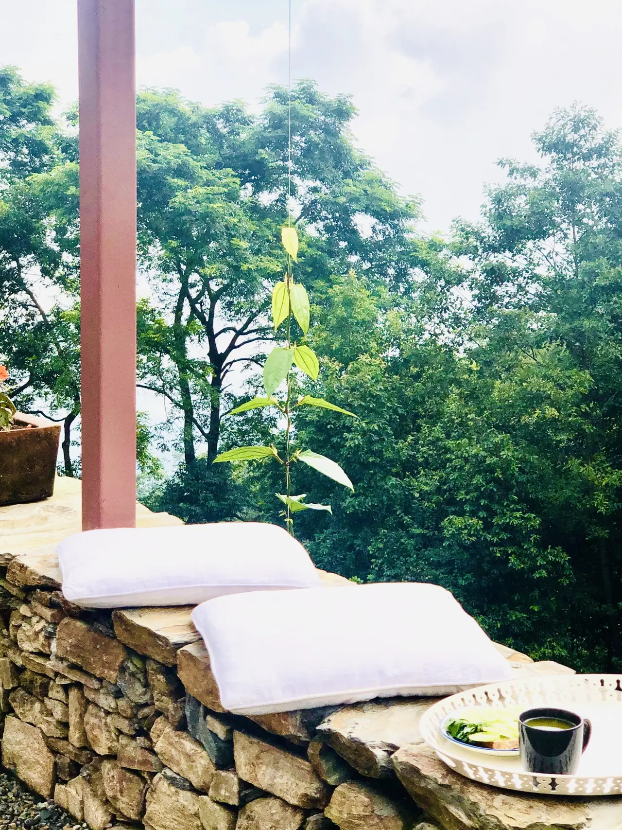 Vishuddhi Alaya