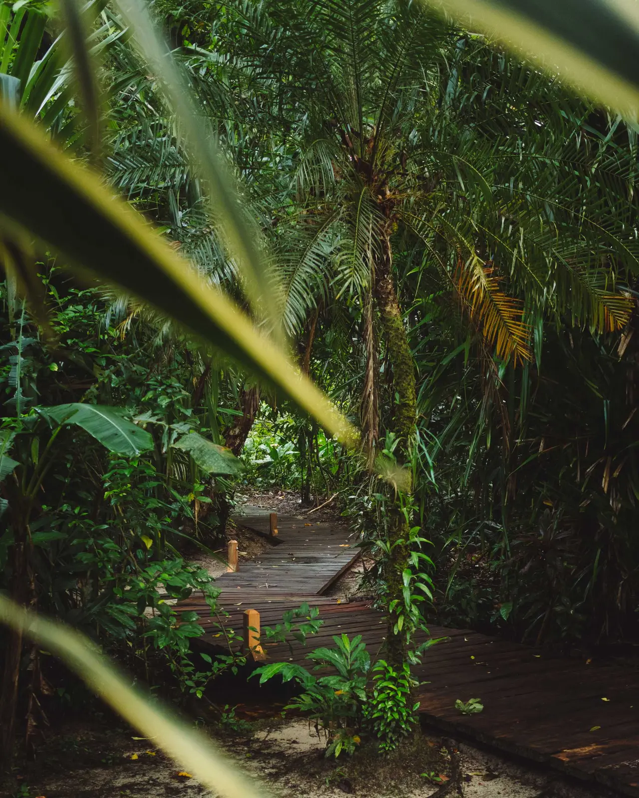 Casa Cayuco Eco-Adventure Lodge