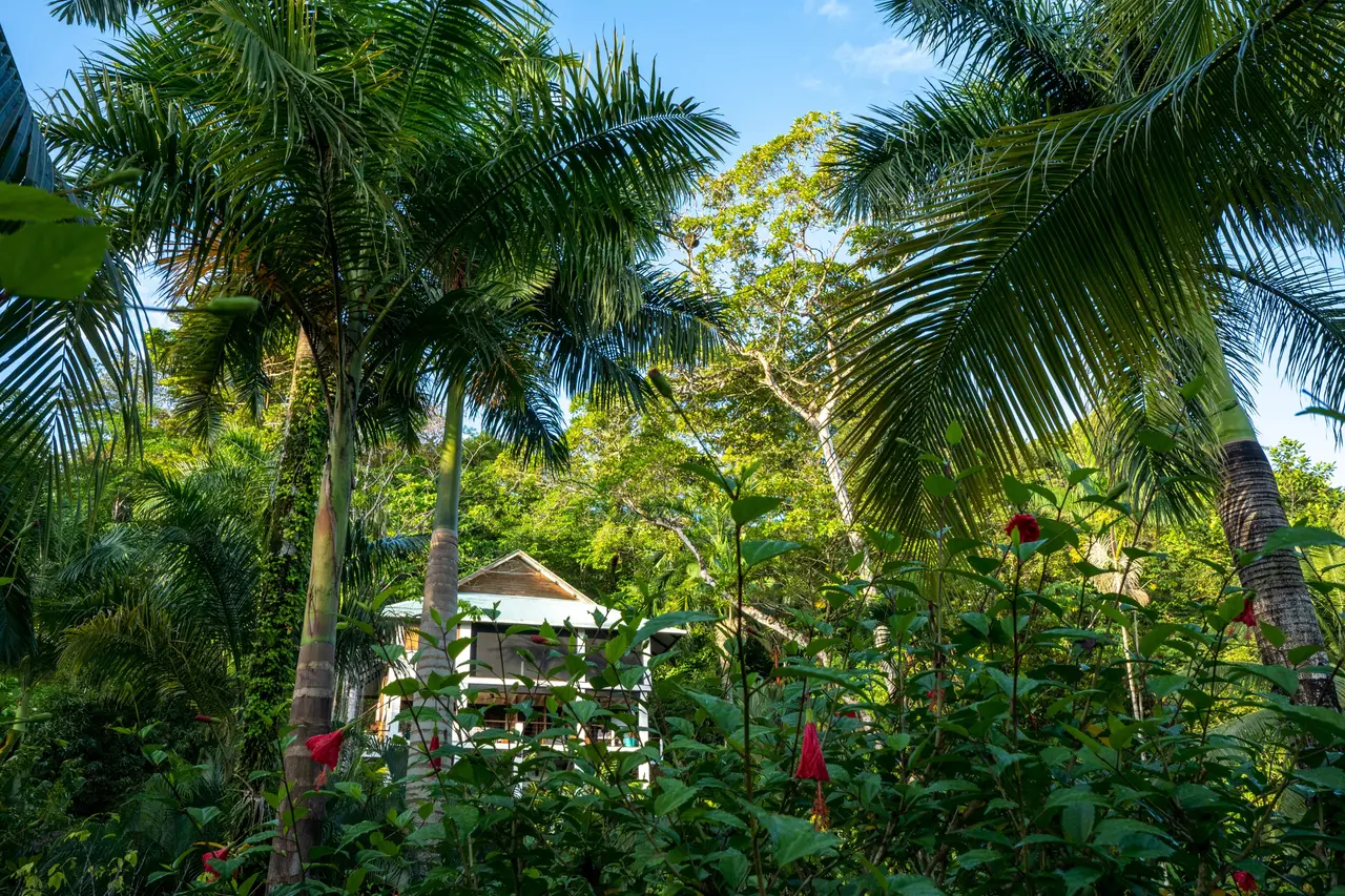 Roam Yoga & Wellness